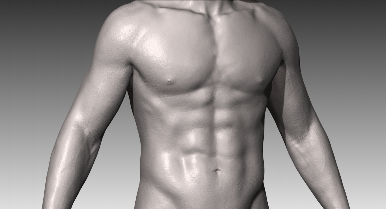 Realistic White Male And Female Bundle 3d Model In Anatomy 3dexport
