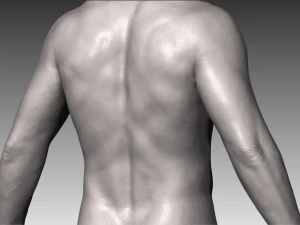 realistic white male and female bundle 3D Model