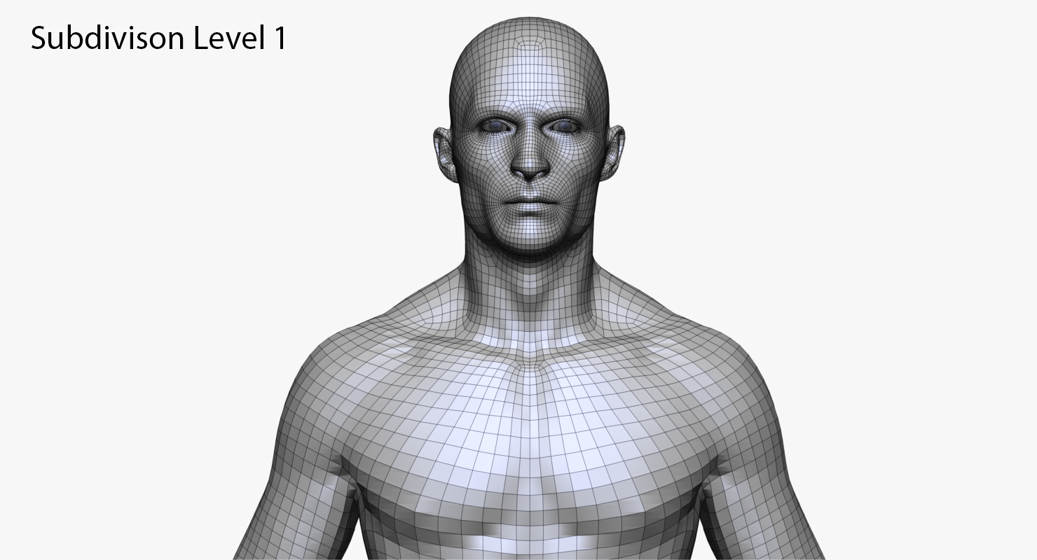 Realistic White Male and Female Bundle 3D Model in Anatomy