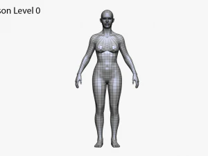 realistic white male and female bundle 3D Model