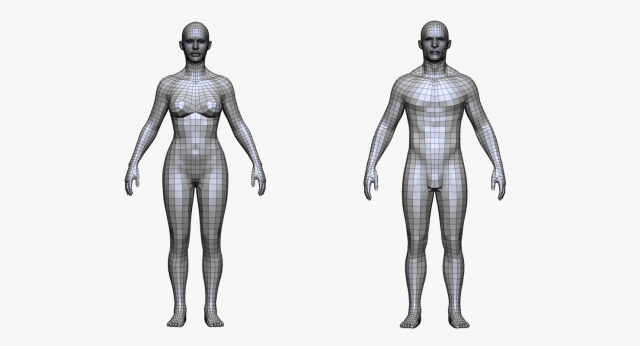 realistic white male and female low poly 3D Model .c4d .max .obj .3ds .fbx .stl .blend 