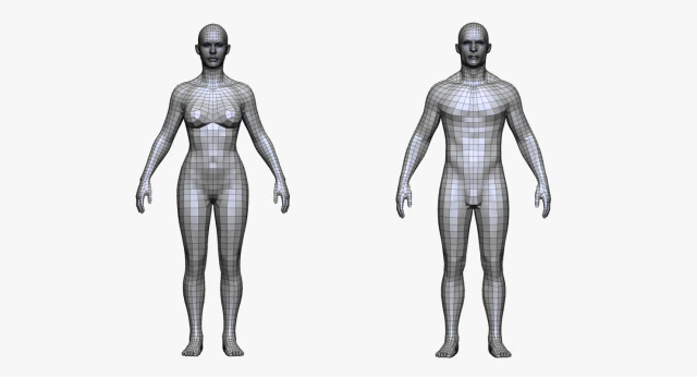 realistic white male and female low poly 3D Model .c4d .max .obj .3ds .fbx .stl .blend 