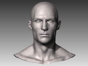 Male Head Sculpt 4 | 3D model