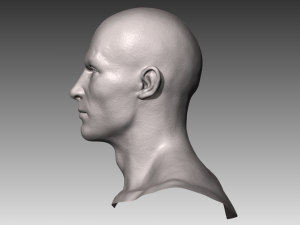 realistic white male head 3D मॉडल