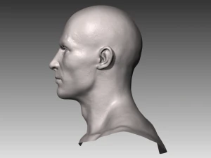 realistic white male head 3D Model