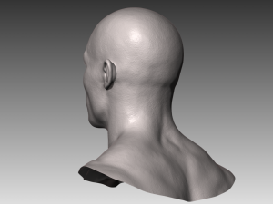 realistic white male head 3D मॉडल