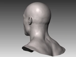 realistic white male head 3D Model