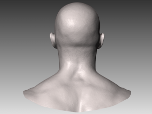 realistic white male head 3D मॉडल