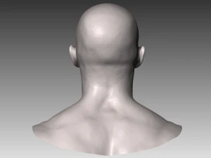 realistic white male head 3D Model