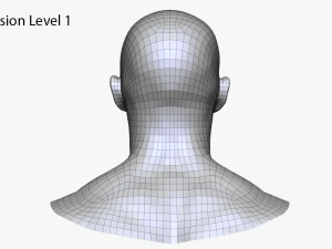 realistic white male head 3D Model