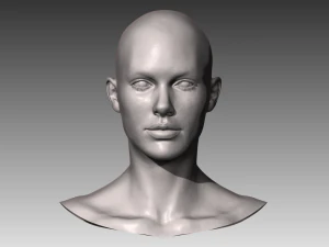 cabe&ccedil;a feminina branca realista Modelo 3D