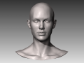 realistic white female head 3D Model