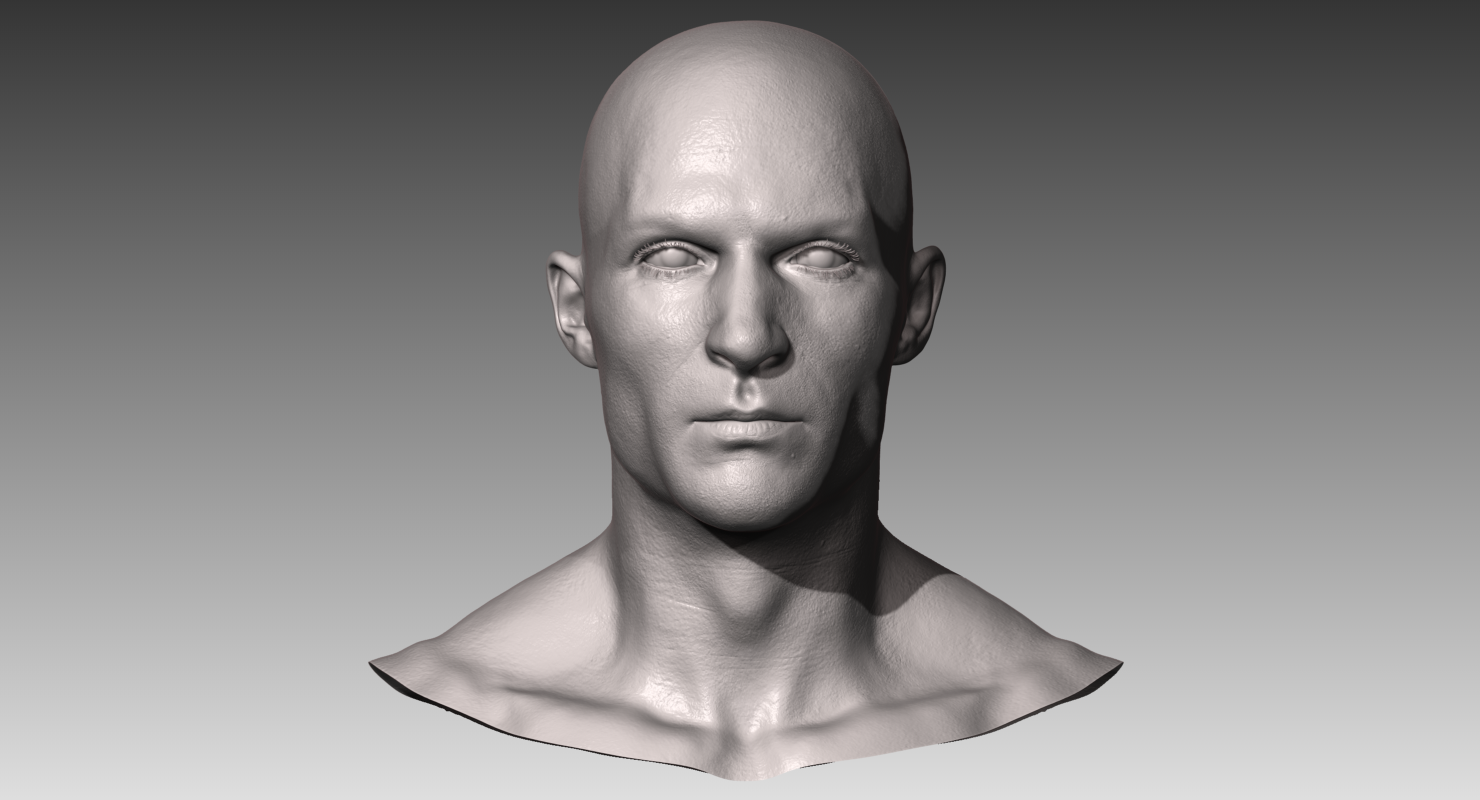 Realistic White Male And Female Head Bundle 3d Model In Anatomy