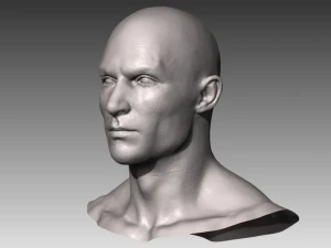 realistic white male and female head bundle 3D Model