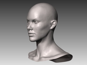 realistic white male and female head bundle Modelo 3D