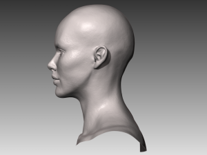 realistic white male and female head bundle Modelo 3D
