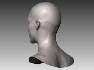 realistic white male and female head bundle Modelo 3D