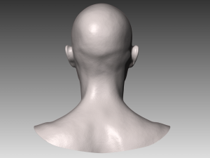 realistic white male and female head bundle Modelo 3D