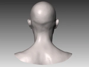 realistic white male and female head bundle 3D Model