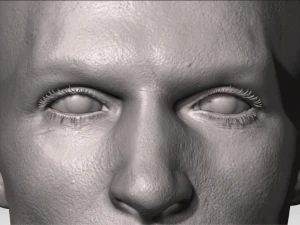 realistic white male and female head bundle 3D Model