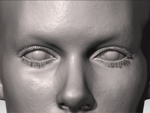 realistic white male and female head bundle Modelo 3D