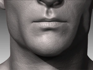realistic white male and female head bundle 3D Model