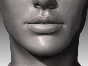 realistic white male and female head bundle 3D Model