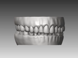 realistic white male and female head bundle 3D Model