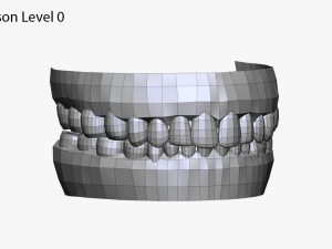 realistic white male and female head bundle Modelo 3D