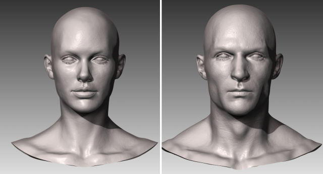 realistic white male and female head bundle Modelo 3D .c4d .max .obj .3ds .fbx .stl .blend 