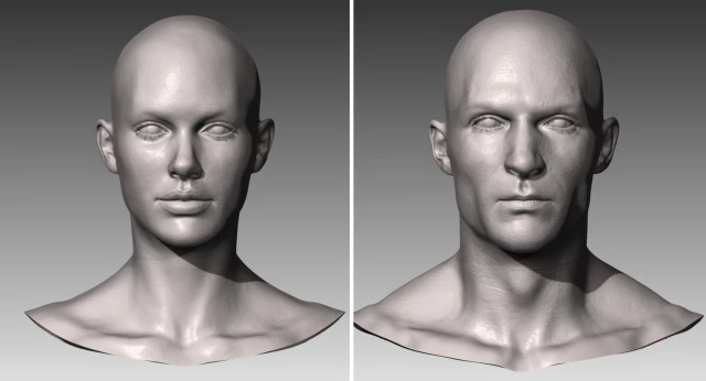 realistic white male and female head bundle 3D Model .c4d .max .obj .3ds .fbx .stl .blend 
