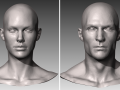 realistic white male and female head bundle 3D Model
