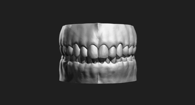 teeth sculpt for production 3D Model .c4d .max .obj .3ds .fbx .stl .blend 