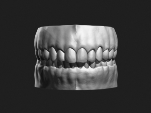 teeth sculpt for production 3D Model