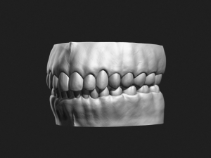 teeth sculpt for production Modèle 3D