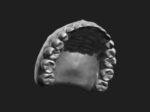 teeth sculpt for production Modèle 3D