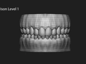 teeth sculpt for production 3D Model