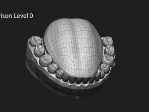 teeth sculpt for production 3D Model