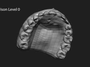 teeth sculpt for production Modèle 3D