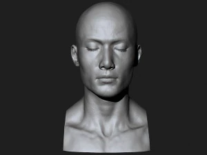 asian male head for production high poly 3D Model