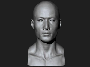 asian male head for production high poly 3D Model