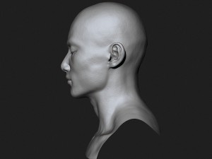 asian male head for production high poly 3D Model