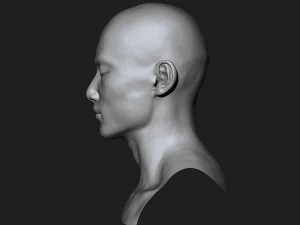 asian male head for production high poly 3D Model