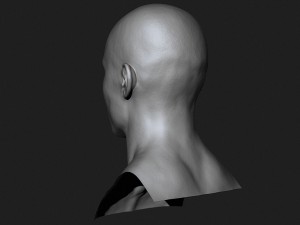 asian male head for production high poly 3D Model