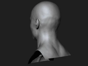 asian male head for production high poly 3D Model
