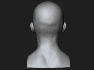 asian male head for production high poly 3D Model
