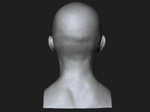 asian male head for production high poly 3D Model