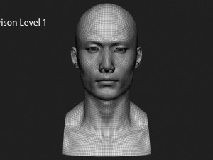 asian male head for production high poly 3D Model