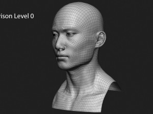 asian male head for production high poly 3D Model