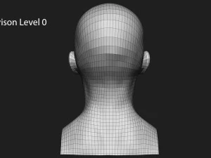 asian male head for production high poly 3D Model